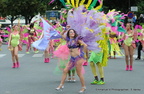 Carnaval Tropical de Paris  2012